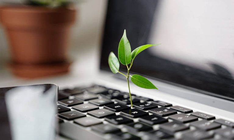 Bconnex nomme sa première responsable RSE pour accélérer sa transition vers le Green IT