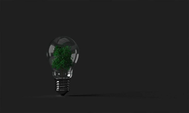 Numeryx s&rsquo;illustre avec le label Ecovadis Bronze, récompense de son engagement RSE